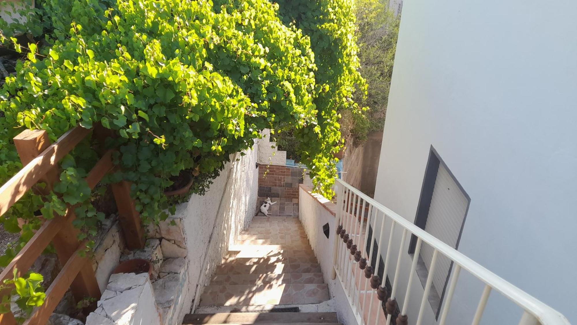 B&B Bella Vista Dorgali Eksteriør bilde