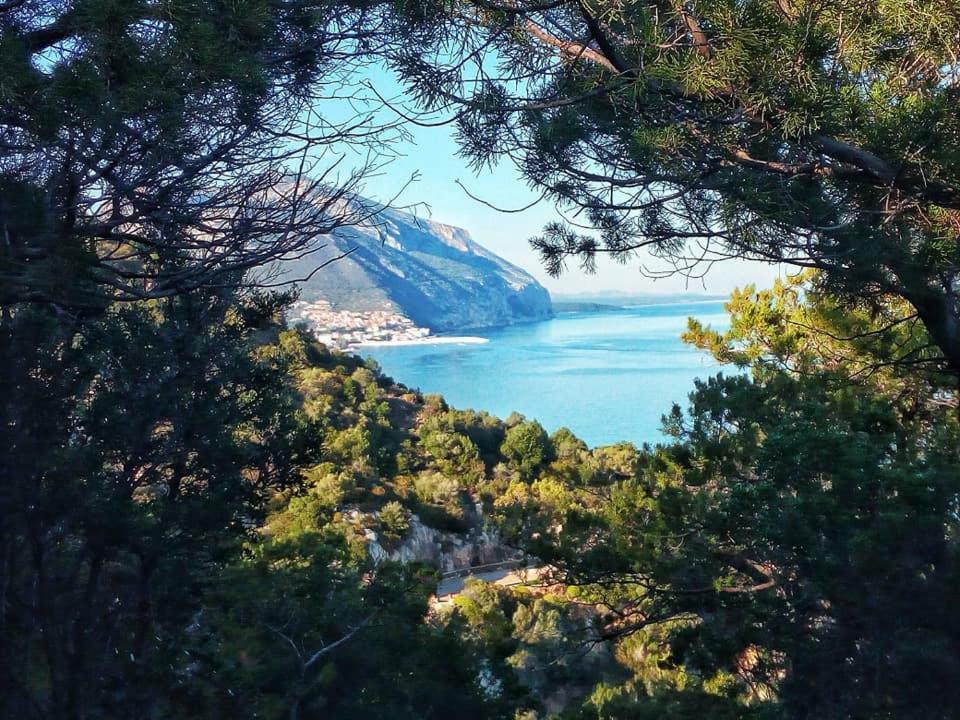 B&B Bella Vista Dorgali Eksteriør bilde